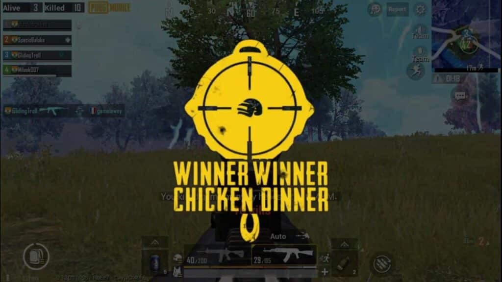 PUBG chicken dinner